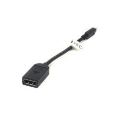  mini DisplayPort (Thunderbolt) M  DisplayPort F 0.2m PowerPlant (CA910472)