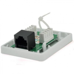 ����'������ ������� RJ45x1 UTP, 8P8C, cat.5e Ritar (00197)