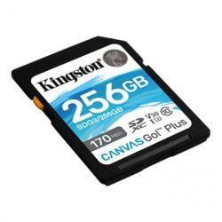  ' Kingston Canvas Go! Plus SD[ ' SD 256GB C10 UHS-I U3 R170/W90MB/s] SDG3/256GB -  2