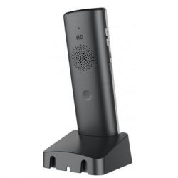 IP ������� Grandstream WP810 - �������� 3