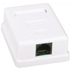 ������� ������� RJ45 x1 UTP 5e Kingda (KD-WP6034-C5e)