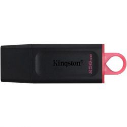 USB ���� ���������� Kingston 256GB DataTraveler Exodia Black/Pink USB 3.2 (DTX/256GB)