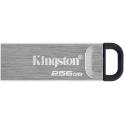 USB ���� ���������� Kingston 256GB DT Kyson Silver/Black USB 3.2 (DTKN/256GB)