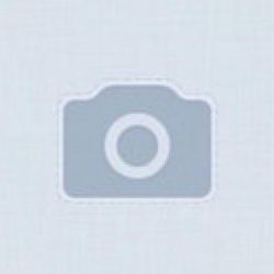 �������� ������������� WYNN'S SUPREMIUM DIESEL 250�� (W22911) - �������� 2