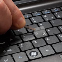    SampleZone ,  (SZ-N-W) -  3