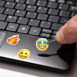    SampleZone ,  (SZ-N-W) -  5