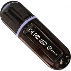 USB Flash Drive 64Gb Mibrand Panther Black (MI2.0/PA64P2B) -  2