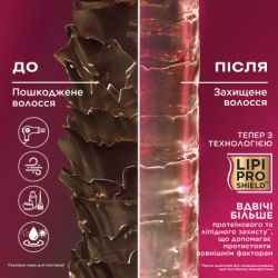 ����������� ��� ����� OGX Keratin Oil ������ �������� � ����������� ������ 385 �� (0022796977526) - �������� 3