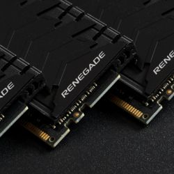     DDR4 32GB 3600 MHz Fury Renegade Black HyperX (Kingston Fury) (KF436C18RB/32) -  9