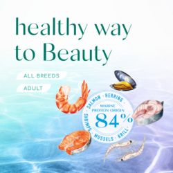     Optimeal Beauty Podium    4  (4820215366083) -  8