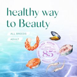     Optimeal Beauty Harmony     1.5  (4820215366854) -  8