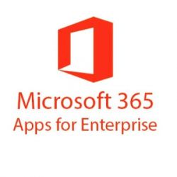  Microsoft Microsoft 365 Apps for enterprise P1Y Annual License (CFQ7TTC0LGZT_0001_P1Y_A)