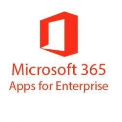 ������� ������� Microsoft 365 Apps for enterprise P1Y Annual License (CFQ7TTC0LGZT_0001_P1Y_A)