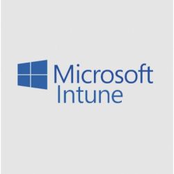   Microsoft Microsoft Intune P1Y Annual License (CFQ7TTC0LCH4_0009_P1Y_A) -  1