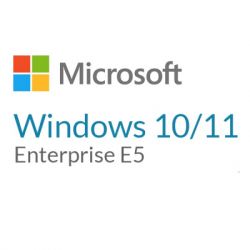   Microsoft Windows 10/11 Enterprise E5 P1Y Annual License (CFQ7TTC0LFNW_0002_P1Y_A)