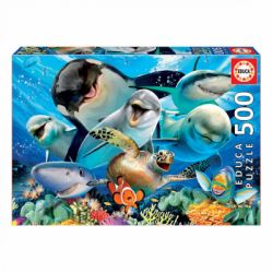  Educa   500  (6425285)