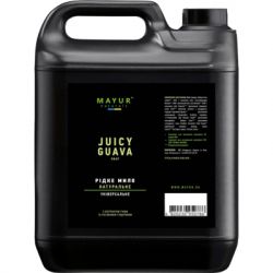   Mayur  5  (2200200118781)