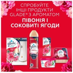 �������� ������ Glade ϳ����� � ������� ����� 300 �� (5000204954876/5000204341171) - �������� 3