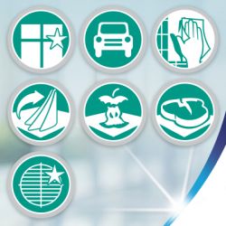   Zewa Wisch & Weg 2  4  (7322541210841) -  6