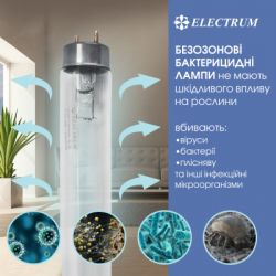 �������� Electrum T8 30W ������. G13 (A-FG-0497) - �������� 2