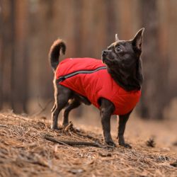 ����� ��� ������ Pet Fashion "E.Vest" S �������� (4823082424450) - �������� 3