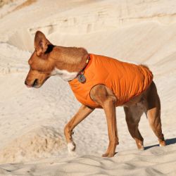 ����� ��� �������� Pet Fashion "E.Vest" � ��������� (4823082424313) - �������� 4