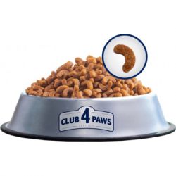     Club 4 Paws .    900  (4820083909139) -  3