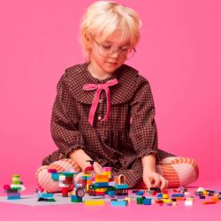 ����������� LEGO Classic ������� �������� ������ ����� (11024) - �������� 2