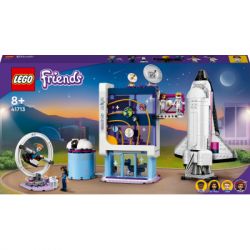 LEGO  Friends   ⳿ 41713