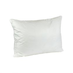 ������� ���� ������� �� 40x60 (309��)