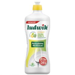      Ludwik     900  (5900498028386) -  1