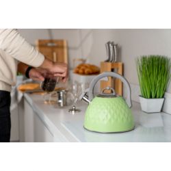 ������ Ardesto Gemini 2.5 � Green (AR1947KG) - �������� 3