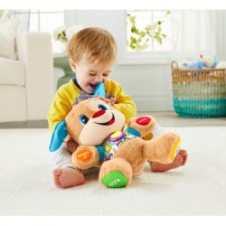   Fisher-Price    㳺 Smart Stages (.) (FPN91) -  4