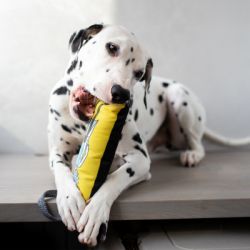 ������� ��� ����� WAUDOG Fun "г� � ���� 2" � ��������� S (629-0281) - �������� 3