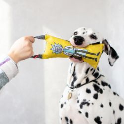 ������� ��� ����� WAUDOG Fun "г� � ���� 2" � ��������� S (629-0281) - �������� 4