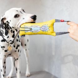 ������� ��� ����� WAUDOG Fun "г� � ���� 2" � ��������� S (629-0281) - �������� 6