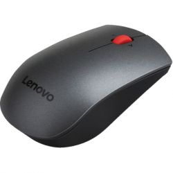 �������� Lenovo Professional Wireless Combo Ua Black (4X31D64775) - �������� 5