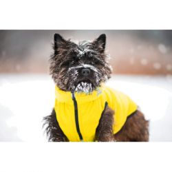 �������� ��� ������ Collar AiryVest "Colors of freedom" XS 25 (4440-4020) - �������� 2