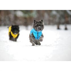 �������� ��� ������ Collar AiryVest "Colors of freedom" XS 25 (4440-4020) - �������� 7