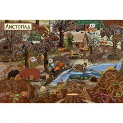 Книга Рік у лісі - Емілія Дзюбак Видавництво Старого Лева (9786176792789) - Картинка 5