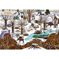 Книга Рік у лісі - Емілія Дзюбак Видавництво Старого Лева (9786176792789) - Картинка 6