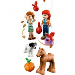  LEGO Friends   853  (41730) -  9