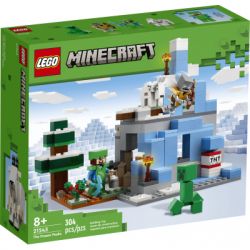  LEGO Minecraft   304  (21243-) -  1