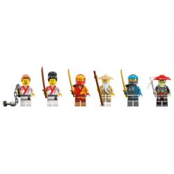  LEGO Ninjago ͳ      (71787) -  5