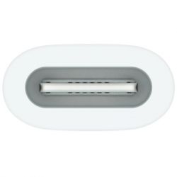  Apple USB-C to Apple Pencil Adapter, Model A2869 (MQLU3ZM/A) -  2