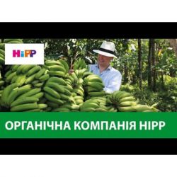 ������ ���� HiPP ������ � �������� �� ������� ������ � �����, 190 � (9062300132479) - �������� 2