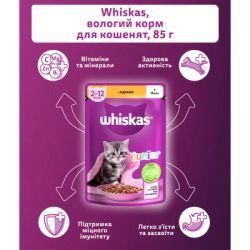������� ���� ��� ����� Whiskas Kitten ������ � ���� 85 � (5900951302152) - �������� 5