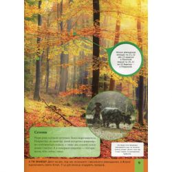 Книга Дитяча енциклопедія планети Земля - Клер Гібберт, Гонор Гед Vivat (9789669429865) - Картинка 9