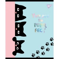  Yes Playful Kitties 48 ,  (765275) -  2