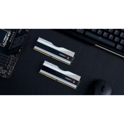     DDR5 32GB (2x16GB) 6600 Trident Z5 RGB Silver G.Skill (F5-6600J3440G16GX2-TZ5RS) -  7